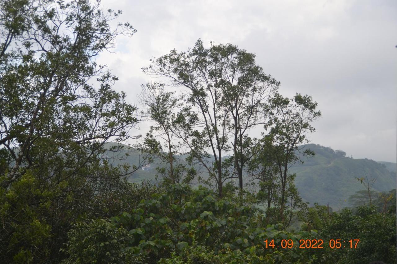 Sharon Valley Вагамон Екстериор снимка